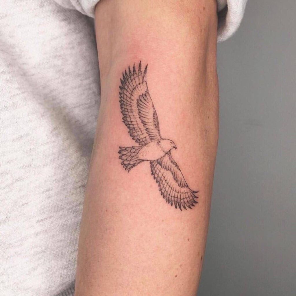 Hawk Tattoo 87