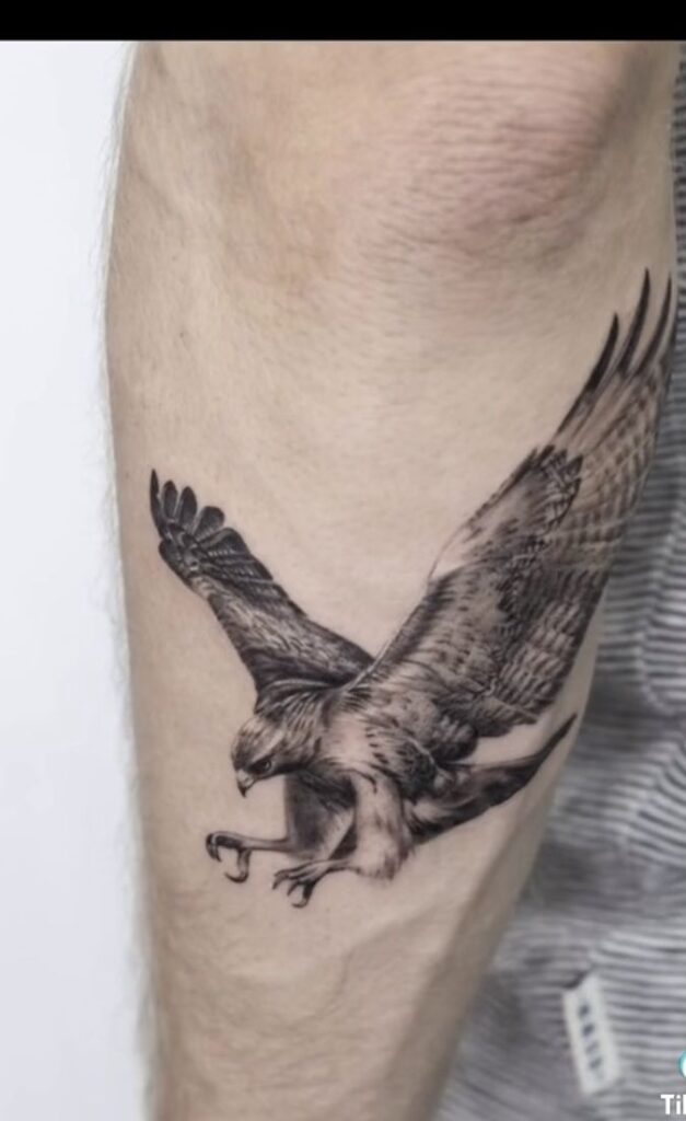 Hawk Tattoo 88
