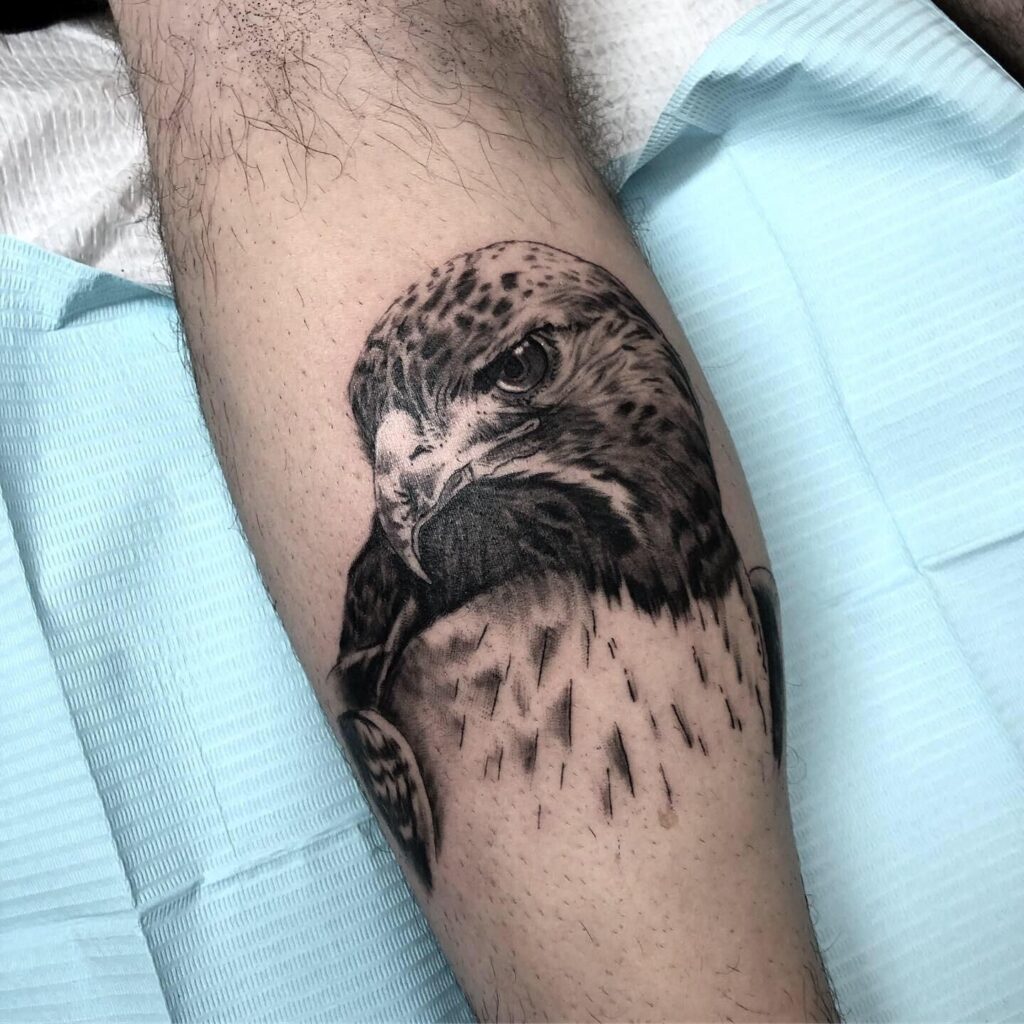 Hawk Tattoo 95