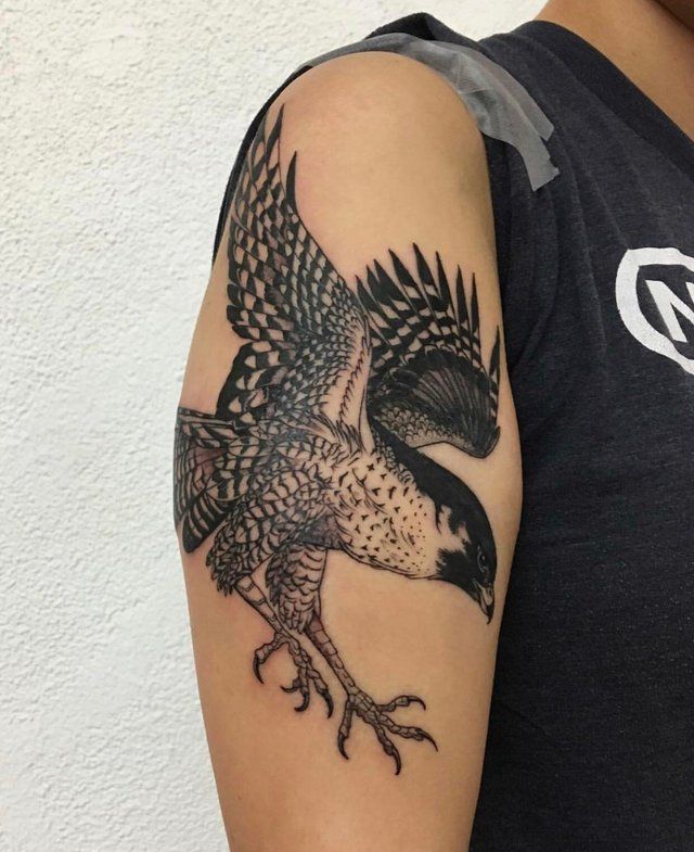 Hawk Tattoo 98