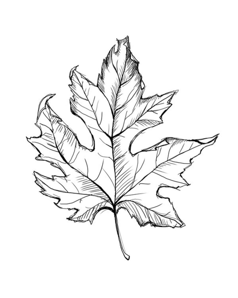 Leaf Tattoo 151