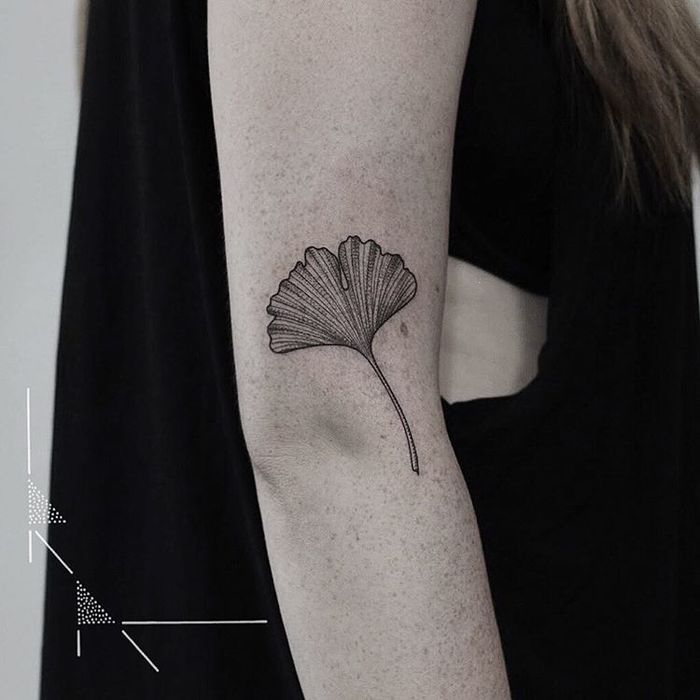 Leaf Tattoo 162