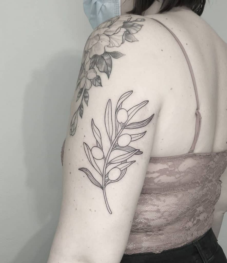 Olive Branch Tattoos 10