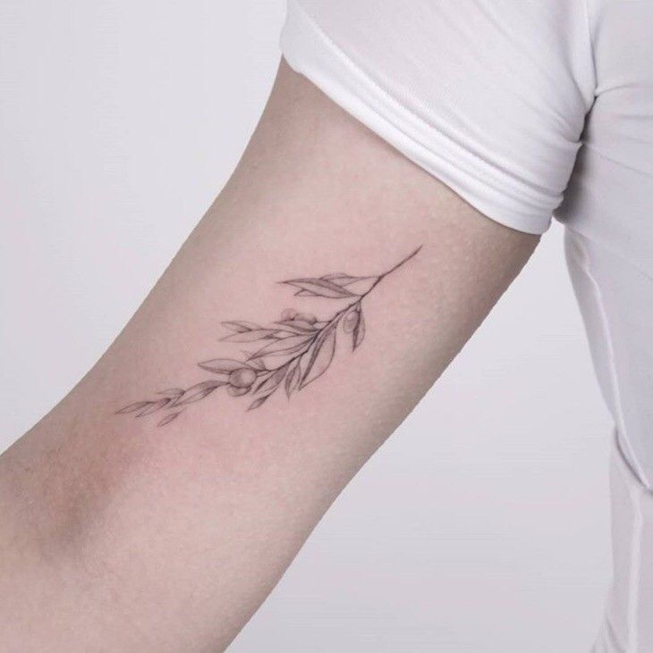 Olive Branch Tattoos 108