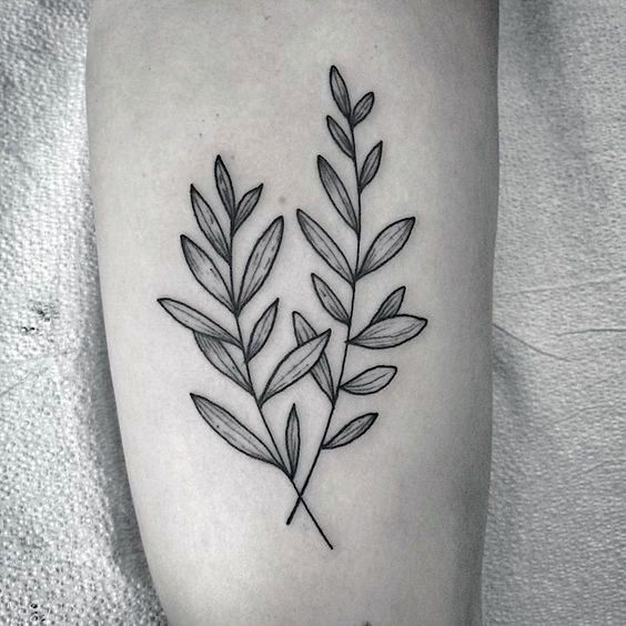 Olive Branch Tattoos 111
