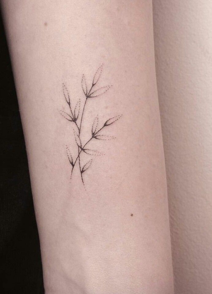 Olive Branch Tattoos 120