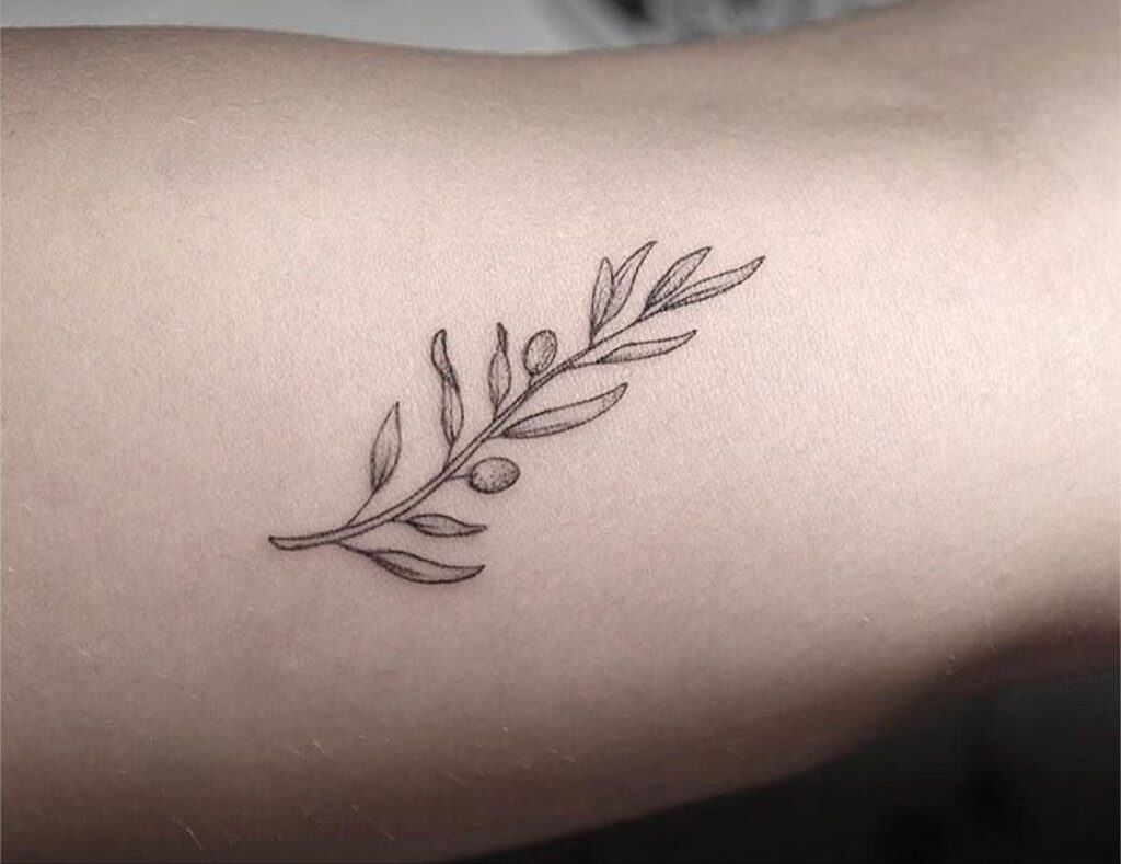Olive Branch Tattoos 122