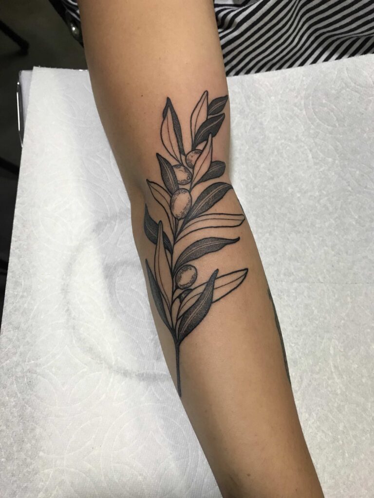 Olive Branch Tattoos 123