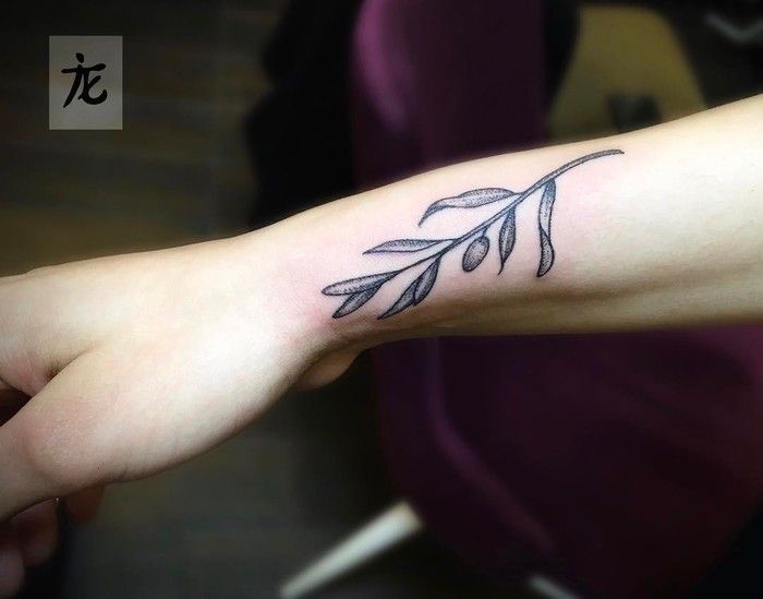 Olive Branch Tattoos 13