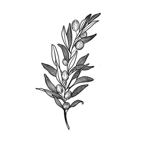 Olive Branch Tattoos 134