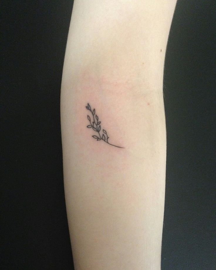 Olive Branch Tattoos 142