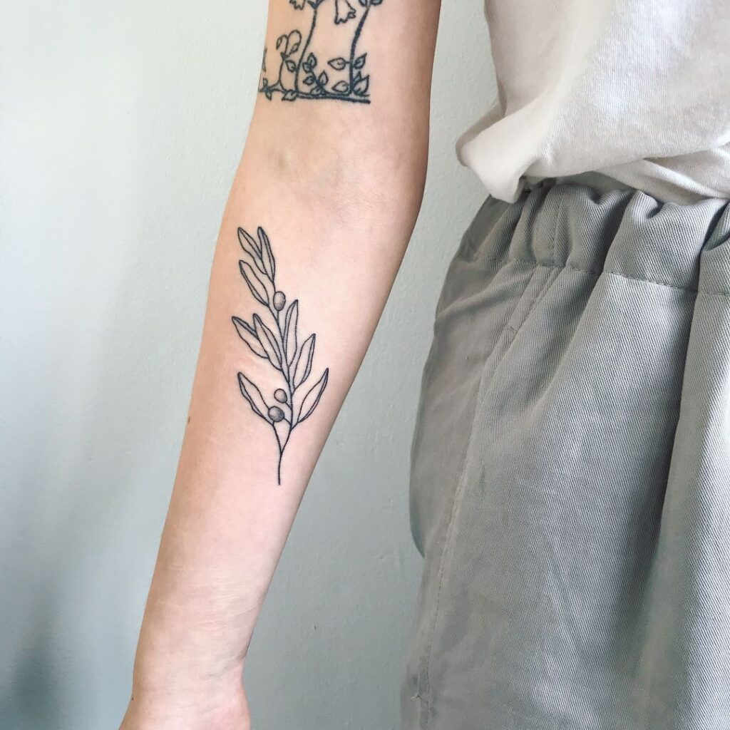Olive Branch Tattoos 149