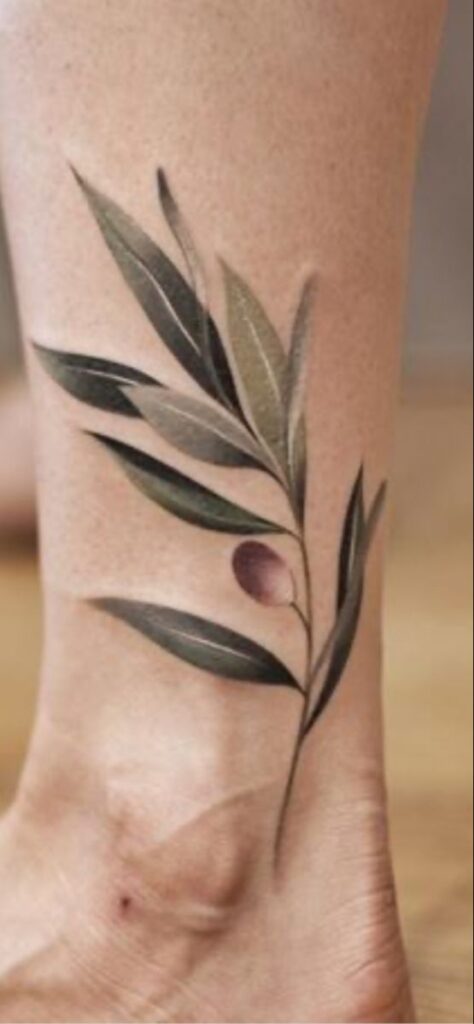 Olive Branch Tattoos 152