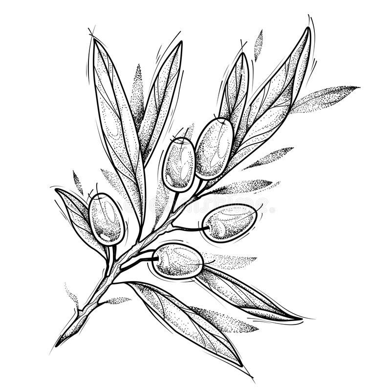 Olive Branch Tattoos 157