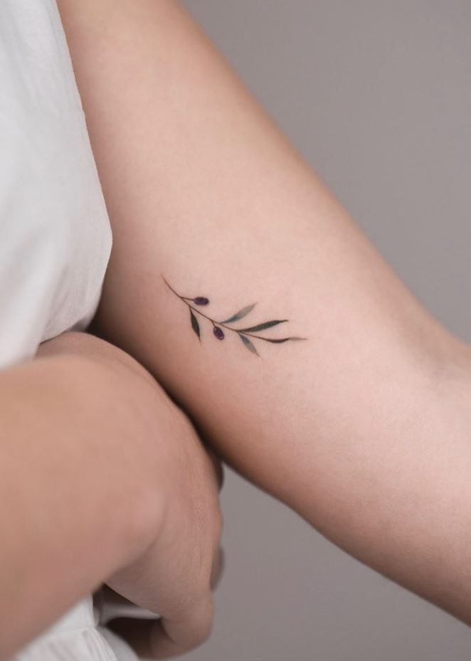 Olive Branch Tattoos 16