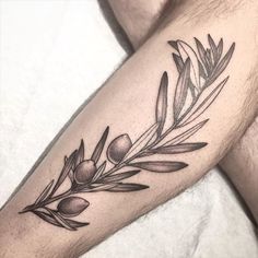 Olive Branch Tattoos 160