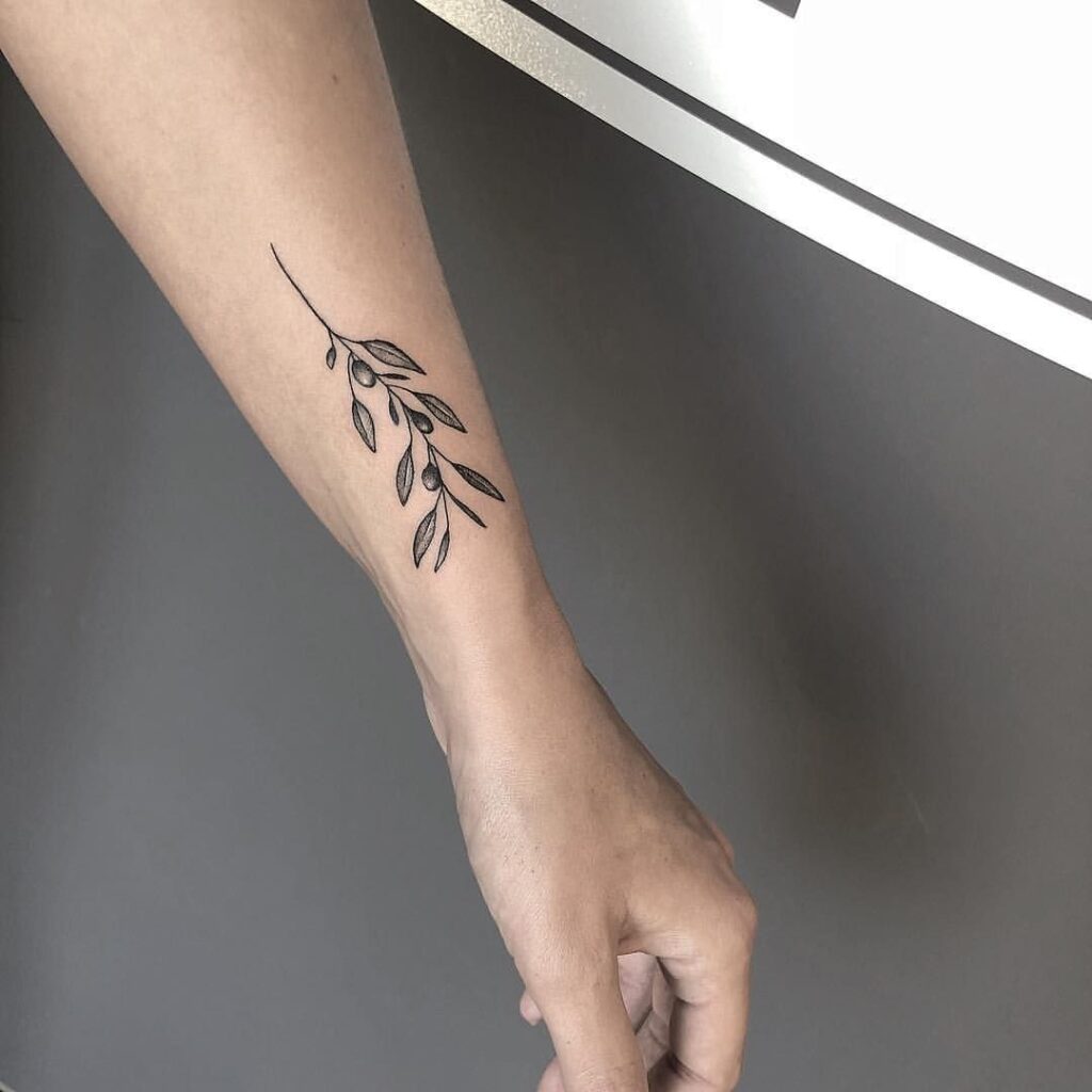 Olive Branch Tattoos 162