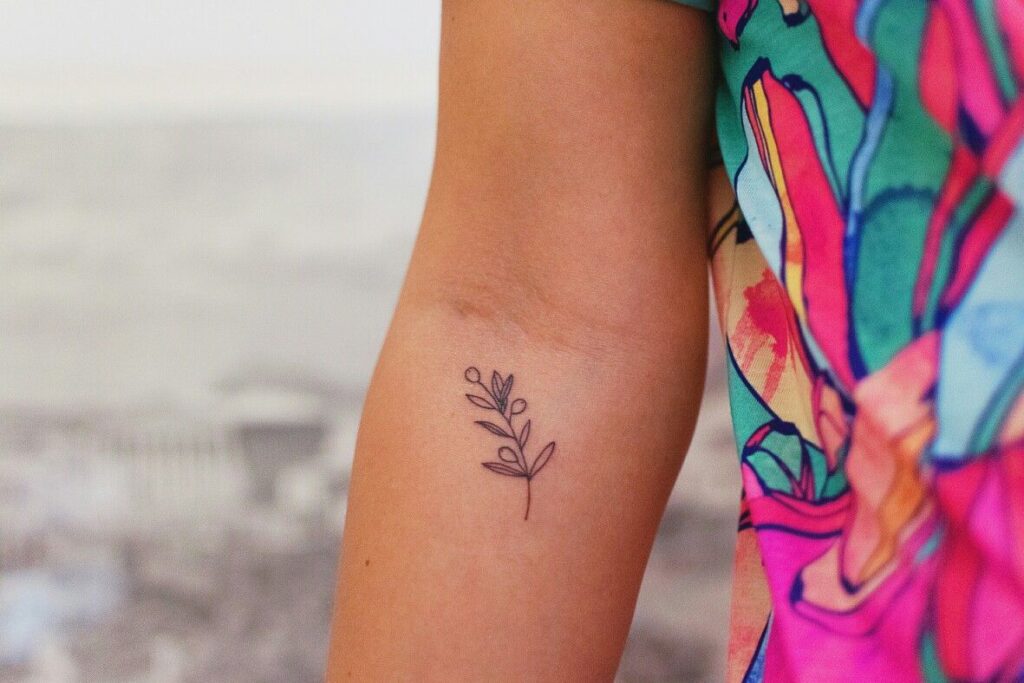 Olive Branch Tattoos 167