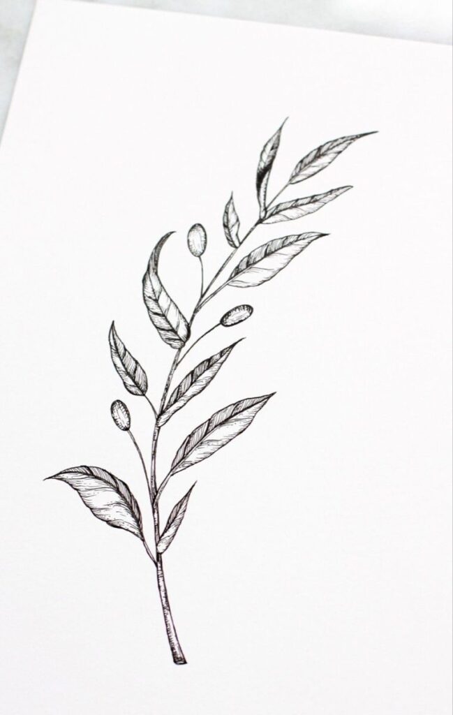 Olive Branch Tattoos 171