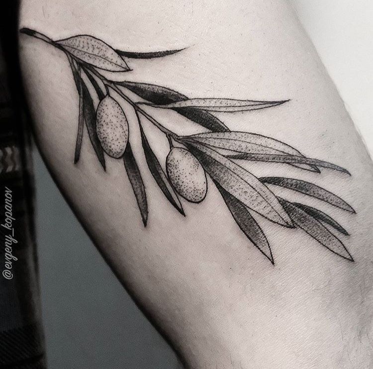 Olive Branch Tattoos 172