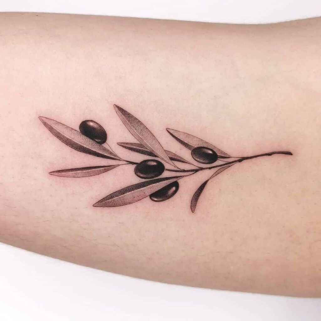 Olive Branch Tattoos 173