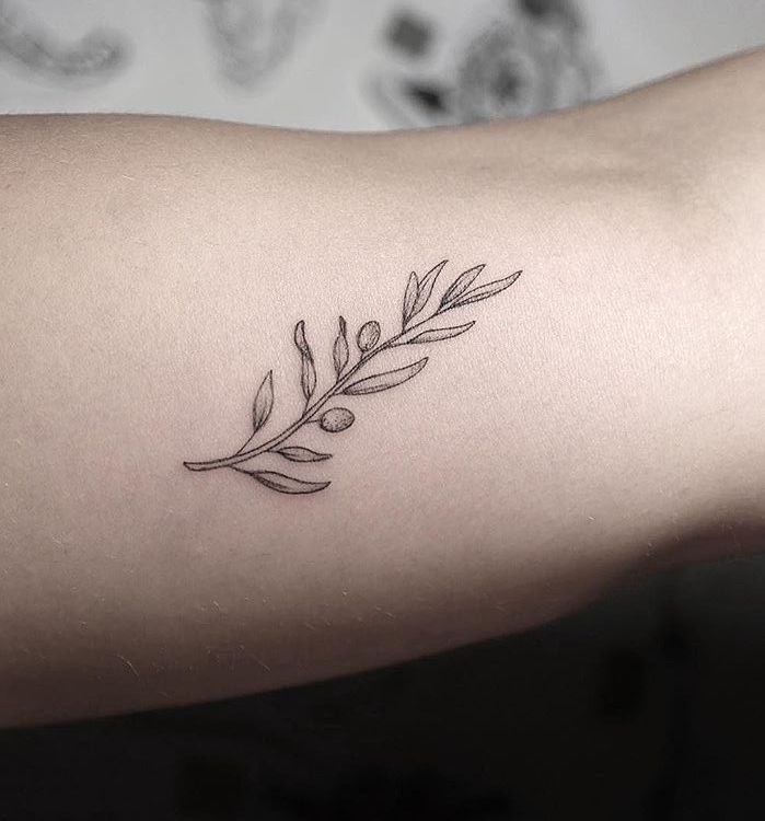 Olive Branch Tattoos 180
