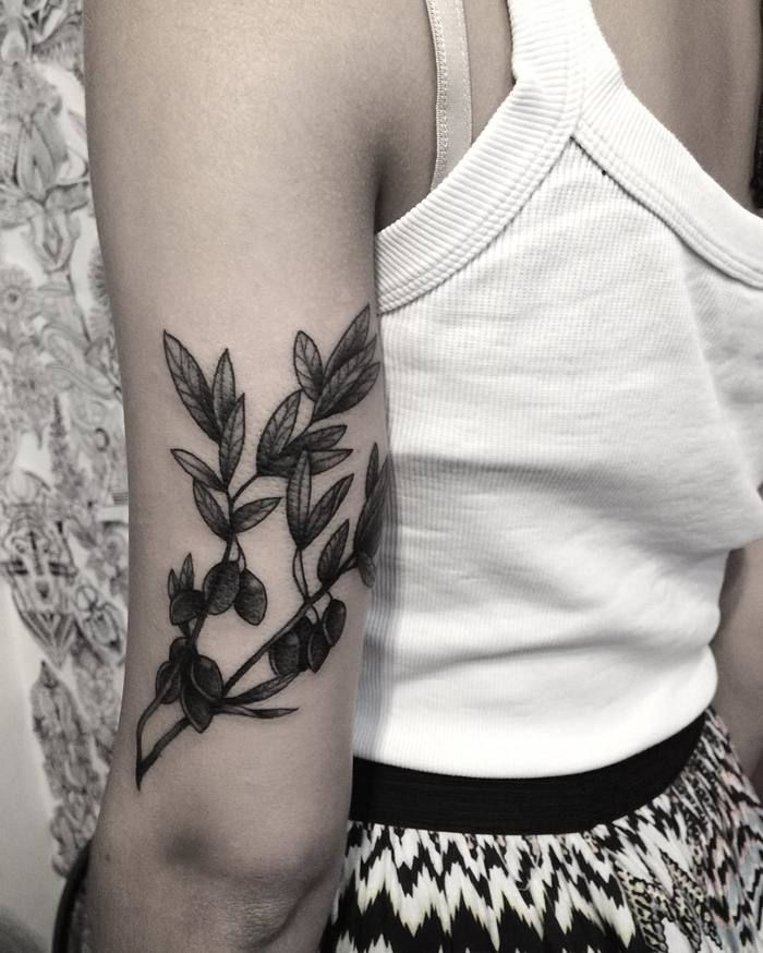 Olive Branch Tattoos 186
