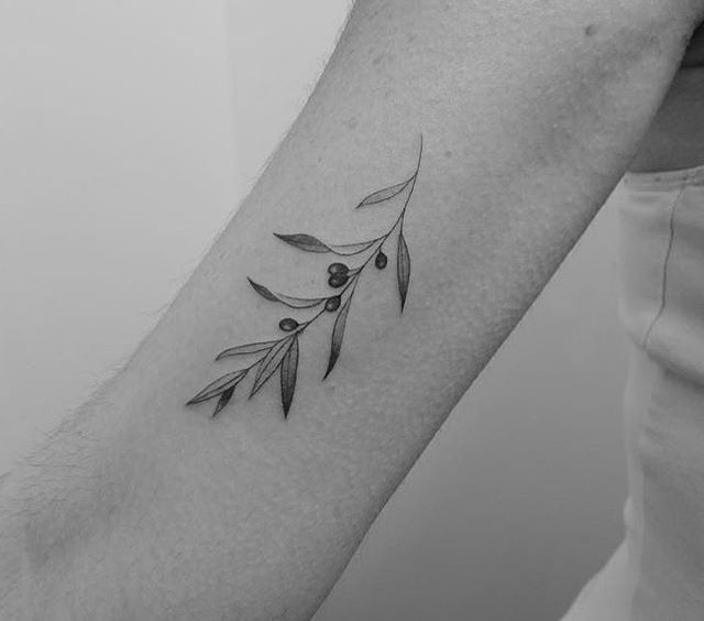 Olive Branch Tattoos 19
