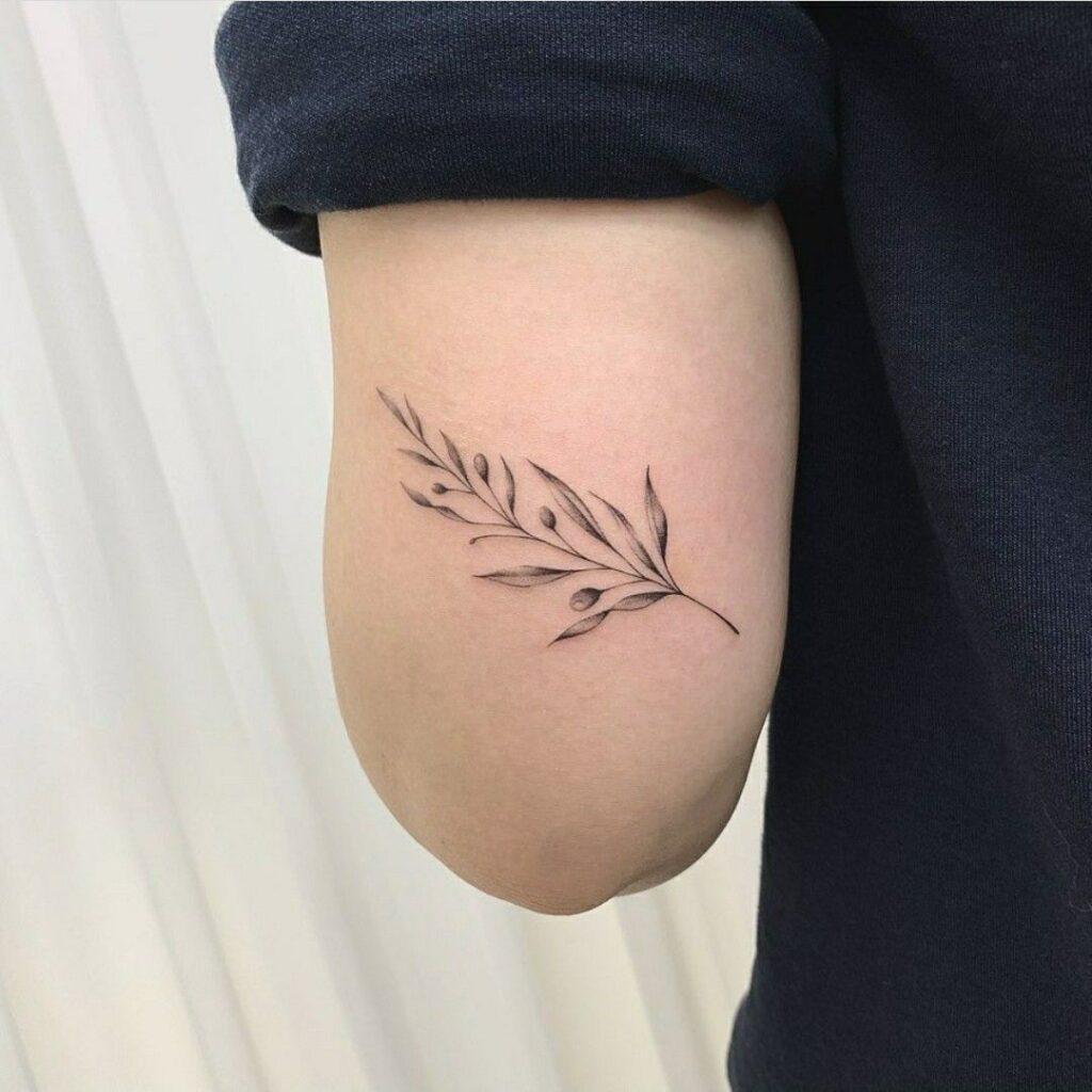 Olive Branch Tattoos 191