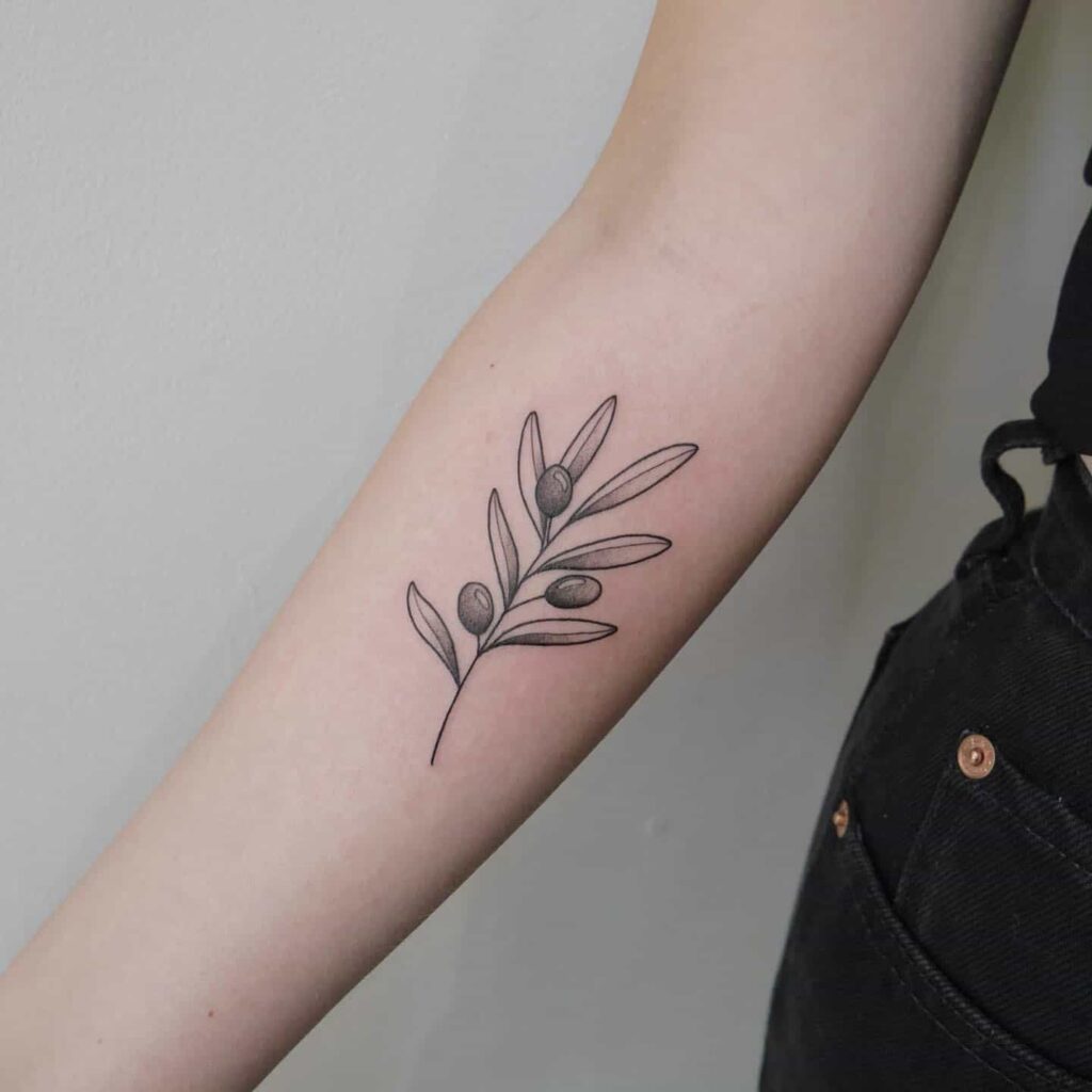 Olive Branch Tattoos 199