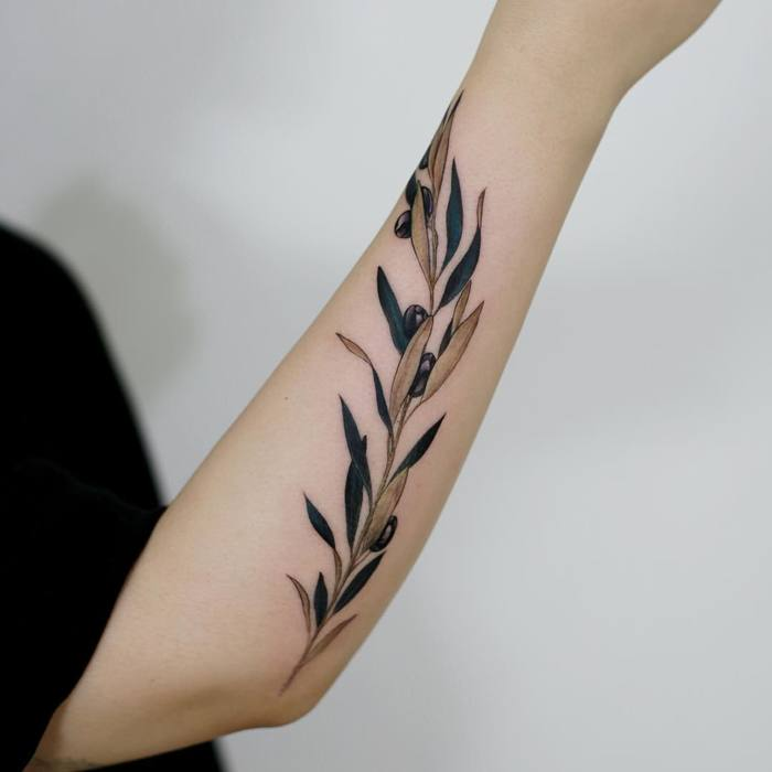 Olive Branch Tattoos 22
