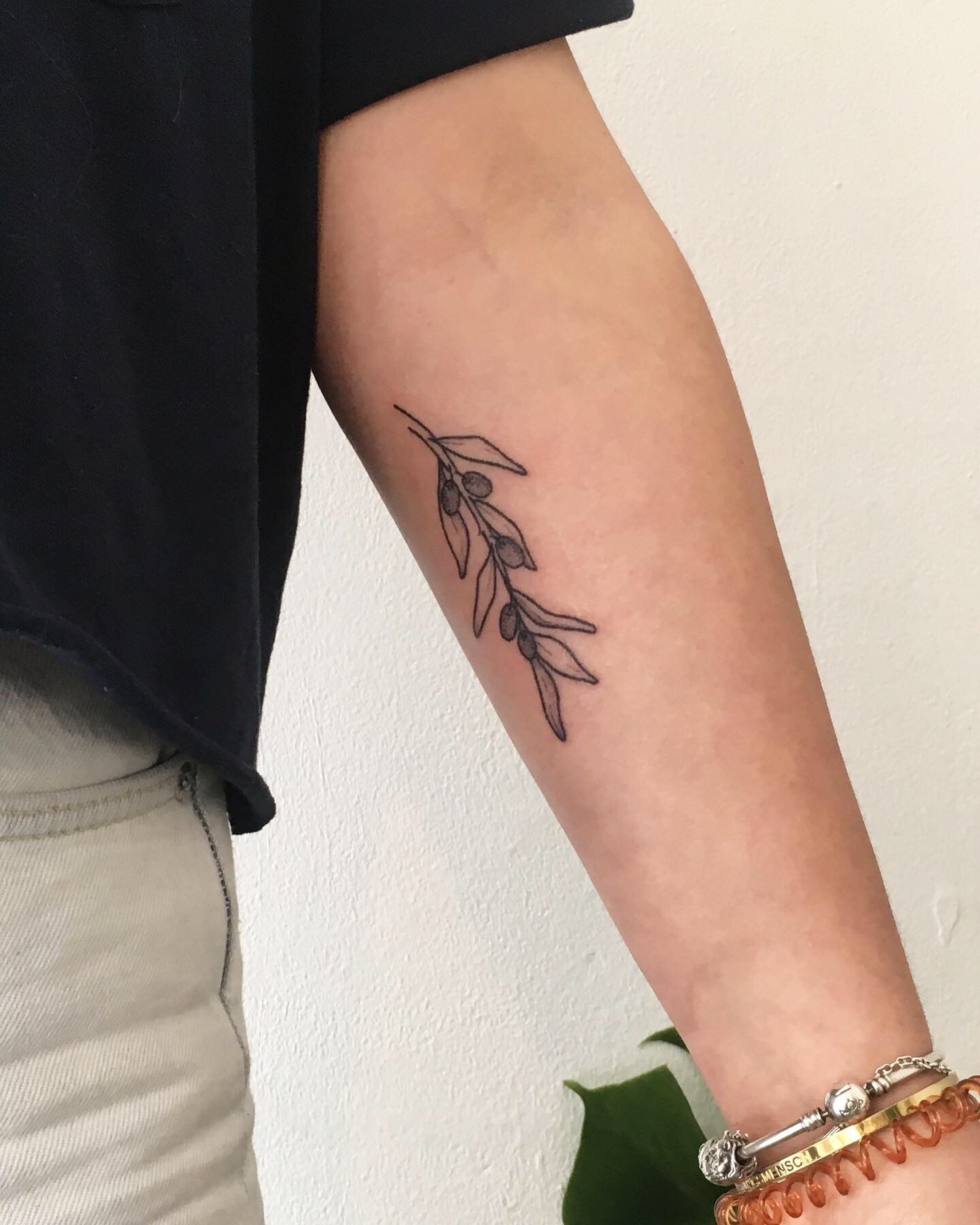 230+ Olive Branch Tattoo Ideas (2023) - TattoosBoyGirl