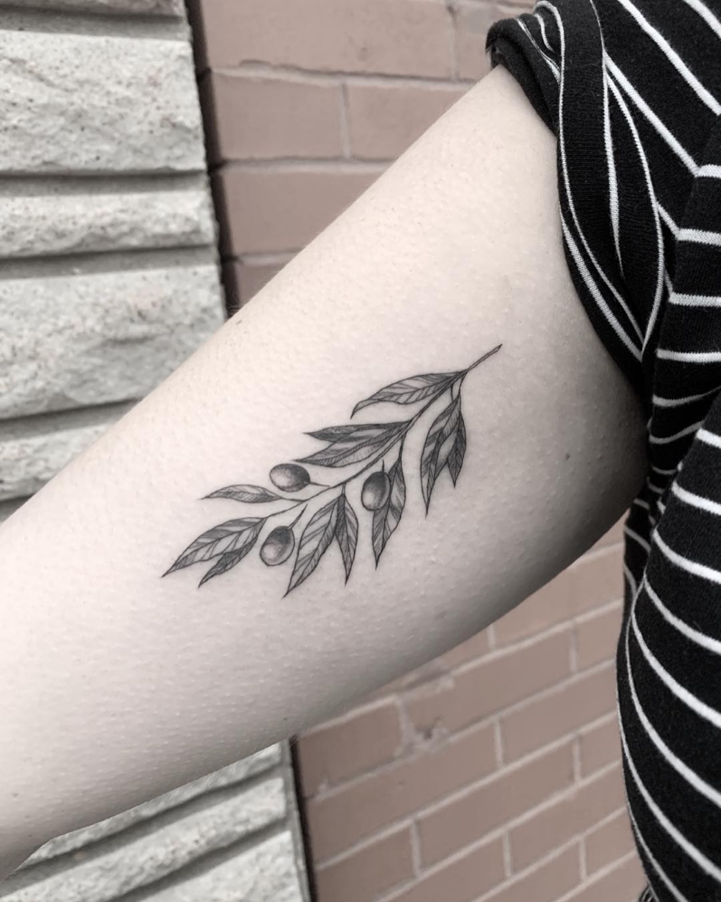 Olive Branch Tattoos 26