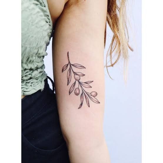 Olive Branch Tattoos 36
