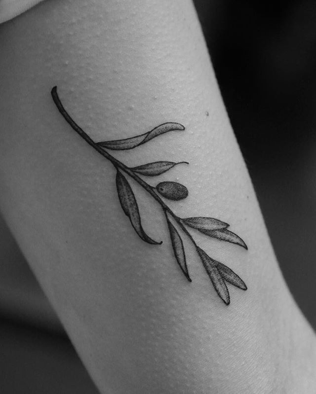 Olive Branch Tattoos 4
