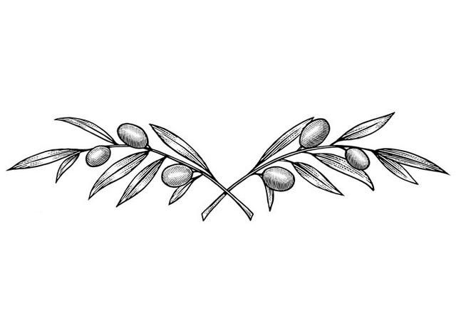 Olive Branch Tattoos 46