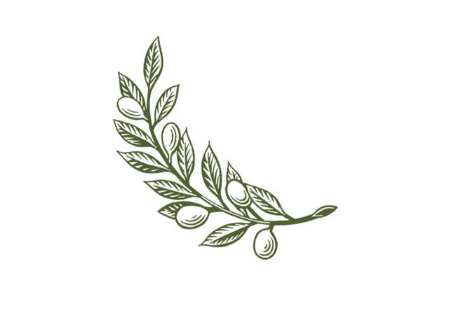 Olive Branch Tattoos 48