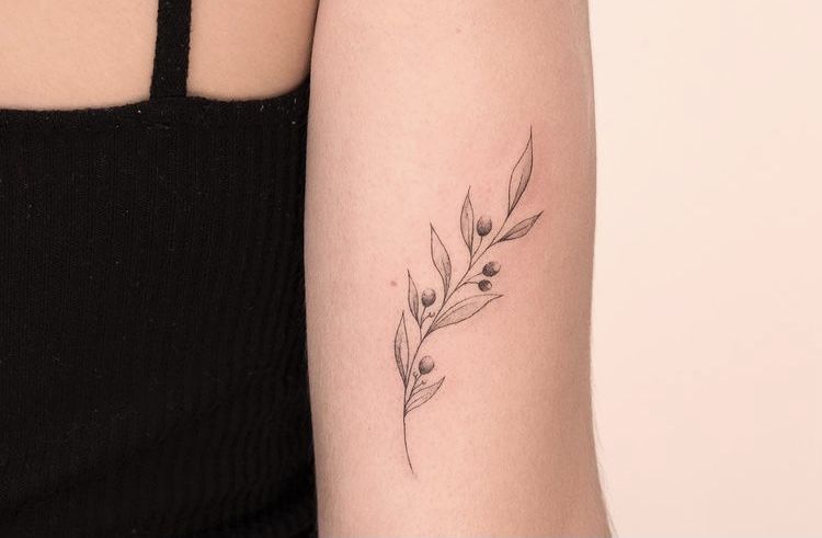 Olive Branch Tattoos 52