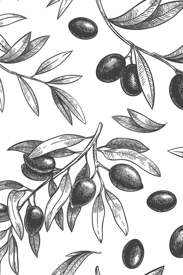 Olive Branch Tattoos 65