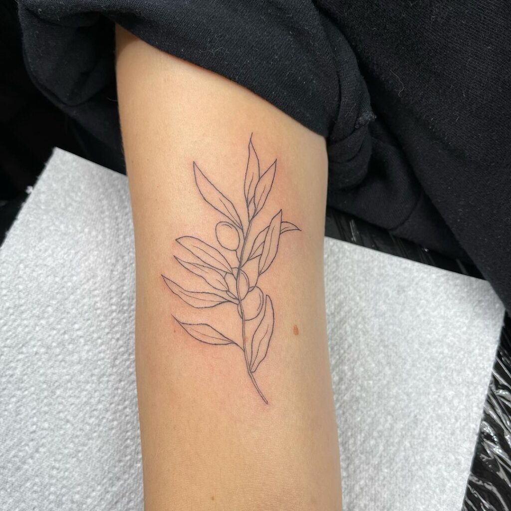 Olive Branch Tattoos 67