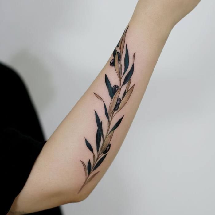 Olive Branch Tattoos 72