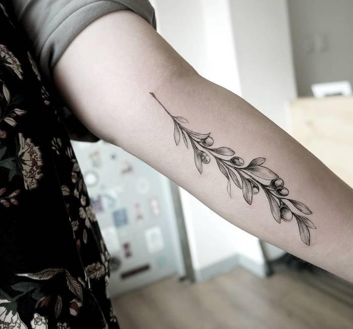 Olive Branch Tattoos 9