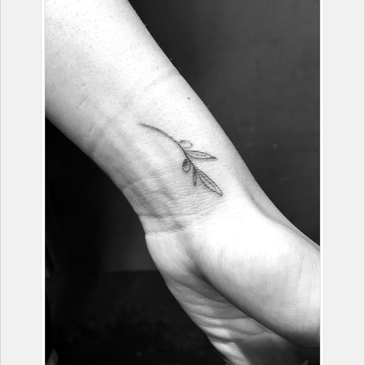 Olive Branch Tattoos 96