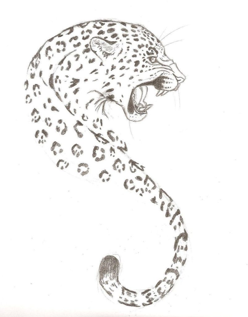 Snow Leopard Tattoo 10
