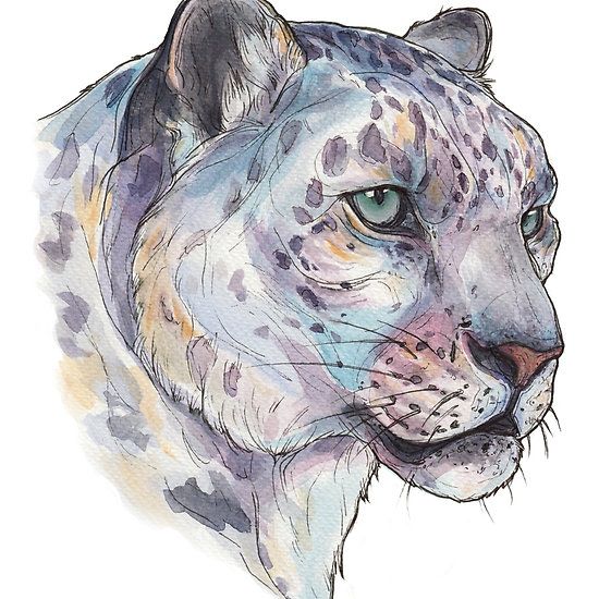 Snow Leopard Tattoo 104