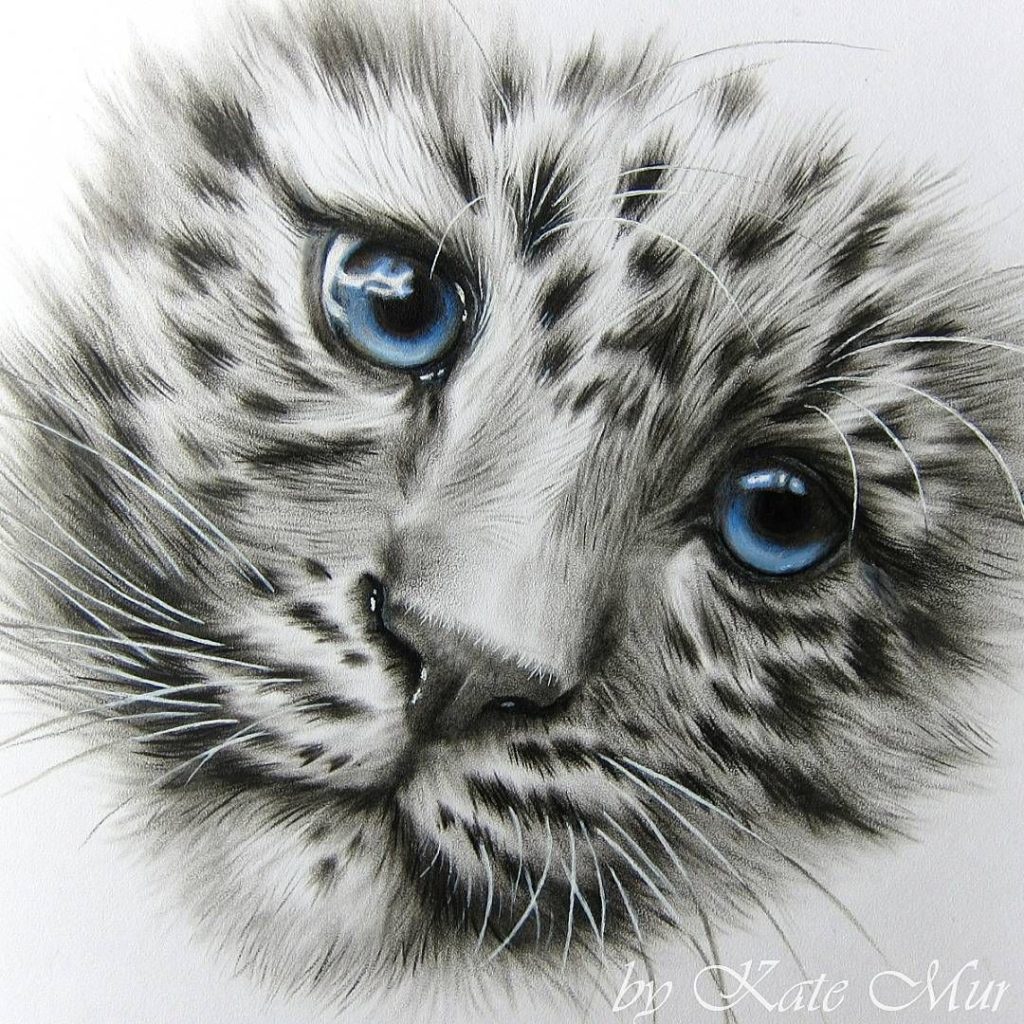 Snow Leopard Tattoo 108