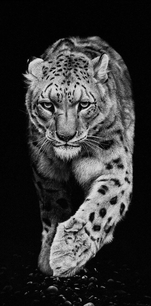 Snow Leopard Tattoo 127