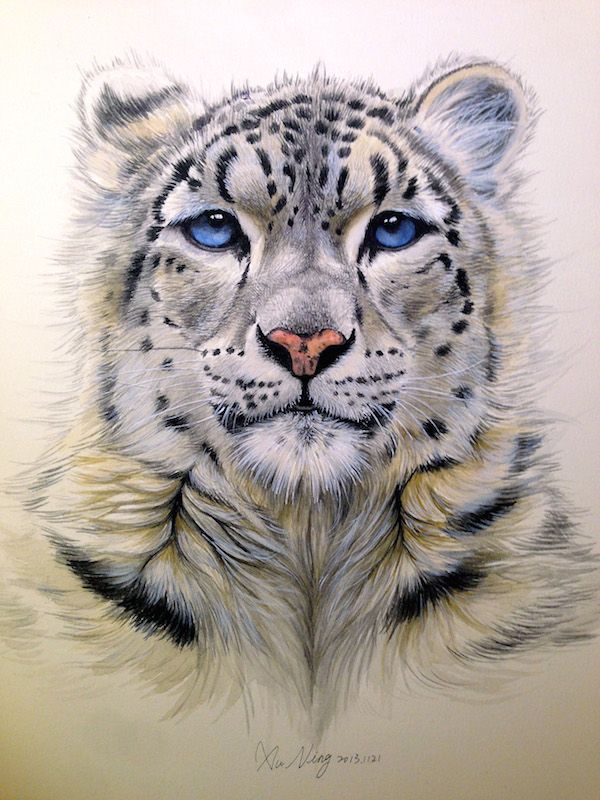 Snow Leopard Tattoo 129