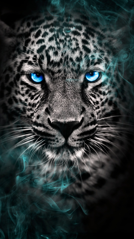 Snow Leopard Tattoo 13