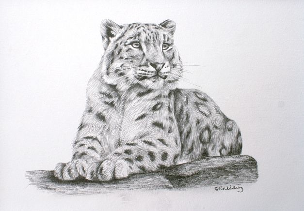 Snow Leopard Tattoo 135